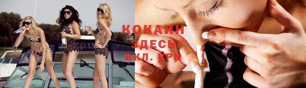 прущая мука Армянск